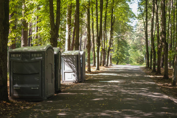 Best Affordable porta potty rental  in Romeovle, IL