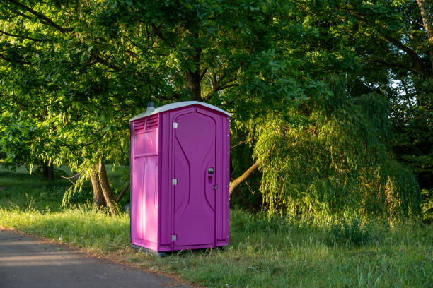 Portable Toilet Options We Offer in Romeoville, IL